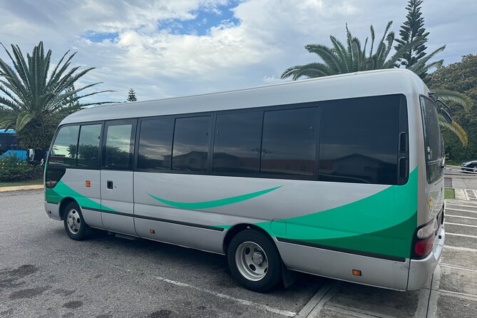 Private Airport Transfer from MBJ to Ocean Eden Bay - Who this transfer fits best (and who might want a backup plan)
