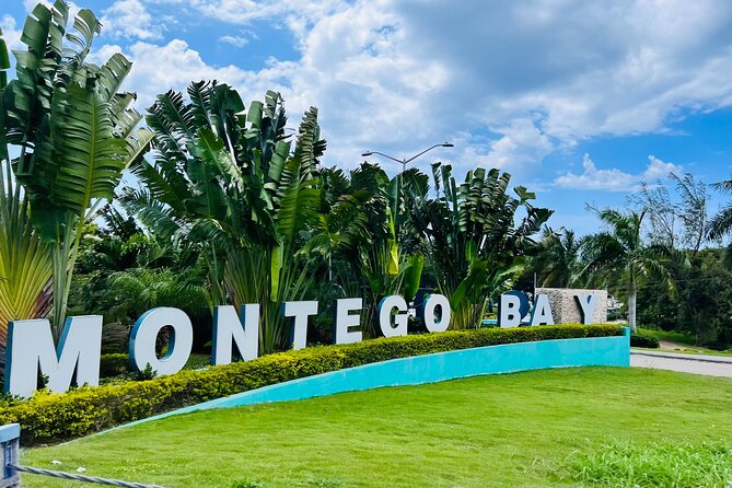 Private Airport Transfer to Excellence, Ocean Coral and Royalton - Key things to know before you go