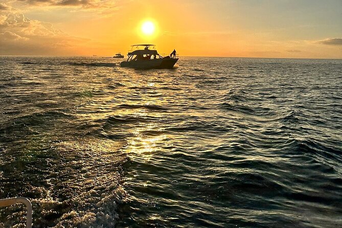 Private Airport Transfer to Royalton, Ocean Coral Spring & Excellence Oyster Bay - Resort Drop-Off: Right to Reception, Then Check In