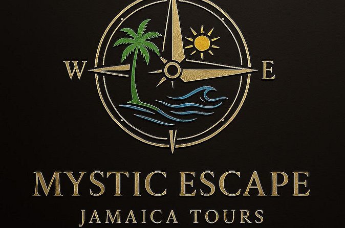 Private Airport Transfers in Montego Bay - Vehicle Comfort: Clean Cars and the Little Details That Matter