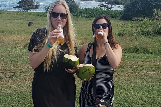 Private and Customized Montego Bay City Tour - Who should book this Montego Bay city tour
