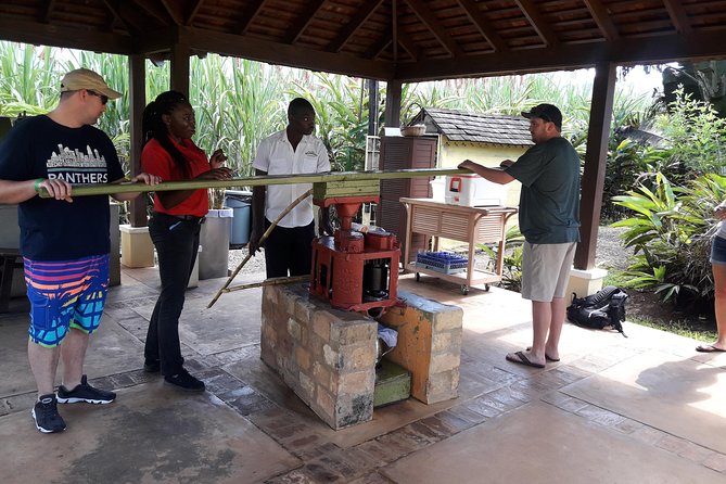 Private Appleton Estate Rum and Pelican Bar Tour from Montego Bay - Joy Spence Appleton Estate Rum Experience: more than a quick tasting