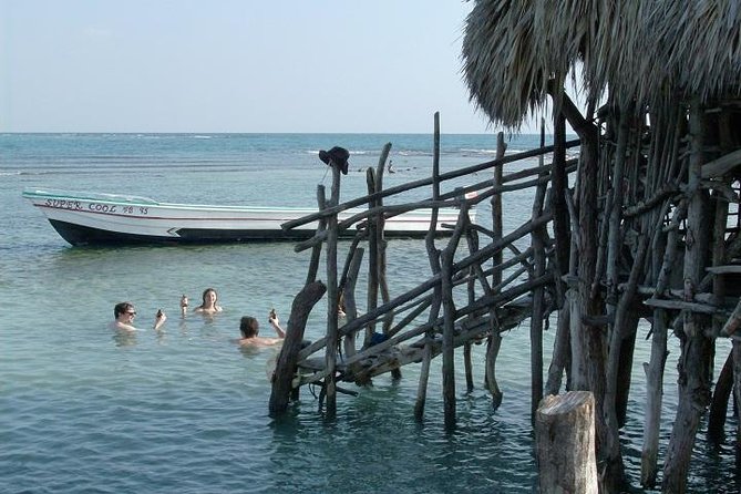 Private Appleton Estate Rum and Pelican Bar Tour from Montego Bay - Who this tour fits best