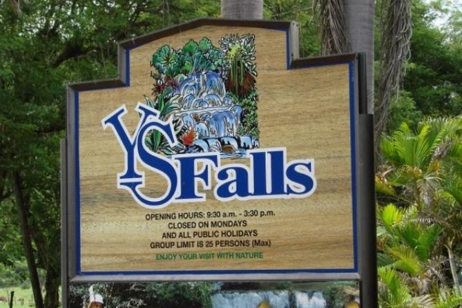 Private Appleton Estate Rum & YS Falls Tour from Montego Bay - What the day feels like, from timing to pacing