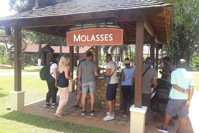 Private Appleton YS Falls and Black River Tour from Montego Bay - Key Points You Should Know Before You Go