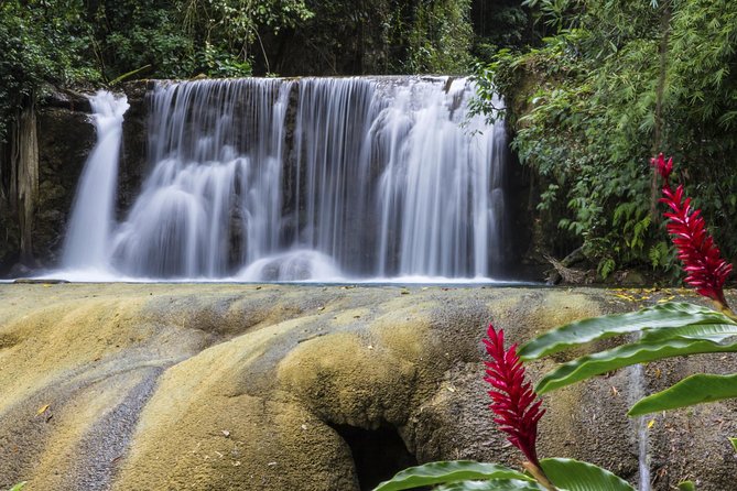 Private Appleton YS Falls and Black River Tour from Montego Bay - Price and Value: Where the Money Goes in This Private Tour