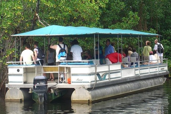 Private Black River Safari Tour from Montego Bay - Key things to know before you go