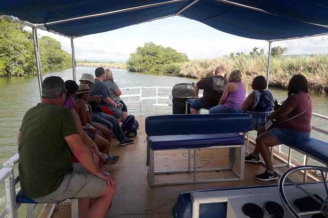 Private Black River Safari Tour from Montego Bay - What You’ll Spot: Crocodiles, Birds, and River Vegetation