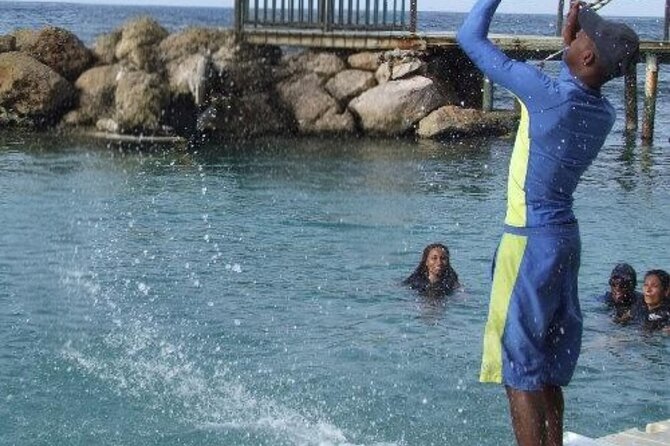 Private Dolphin Cove Adventure - Who This Dolphin Cove Adventure Suits Best