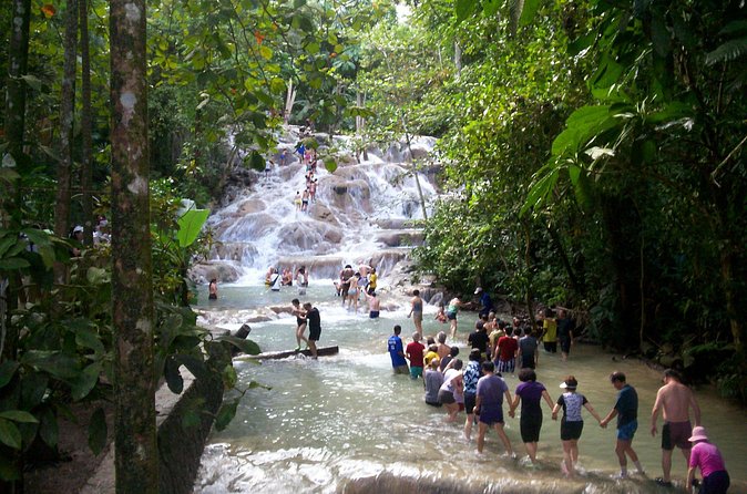 Private Dunn's River Falls Adventure from Montego Bay - Timing, weather, and why mornings work best