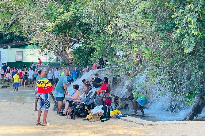 Private Dunn’s River Falls Experience + Blue Hole Secret falls - Blue Hole at Island Gully Falls: Jumps, Rope Swings, and Clear-Water Fun