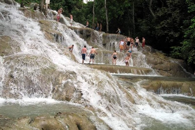 [PRIVATE] Dunn's River Falls with Entrance Fees - The drive from Montego Bay: less hassle, more Jamaica time