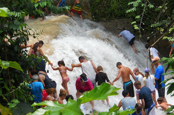 Private Dunns River Falls and Beach Break Excursion from Falmouth - Price and value: what $165 per person buys you