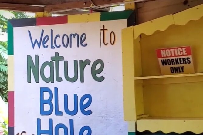 Private Dunns River Falls and Blue Hole from Montego Bay Tour - Blue Hole: Rope Swing Thrills and Waterfall Relaxation