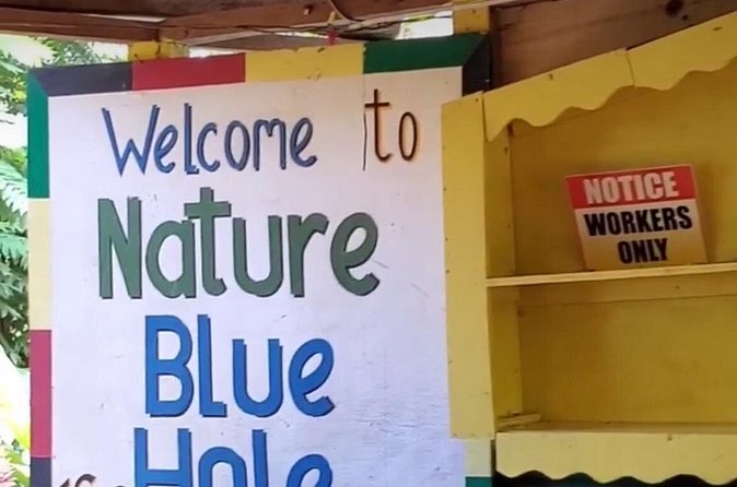 Private Dunns River Falls and Blue Hole from Montego Bay Tour - Timing, Your Fitness Level, and How to Enjoy the Full Day