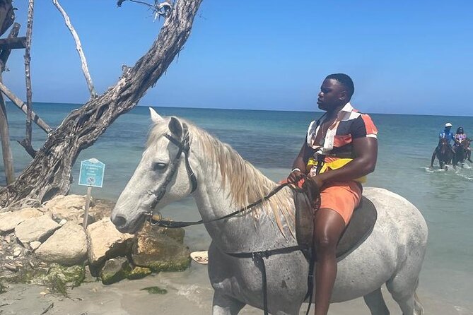 Private Dunns River Falls and Horse Back Riding - Key Highlights You Should Know