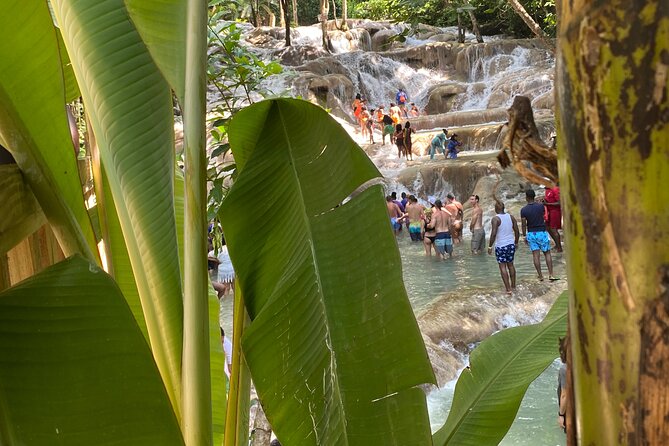 Private Dunns River Falls and Horse Back Riding - Dunn’s River Falls: What You’ll Do in Those 45 Minutes