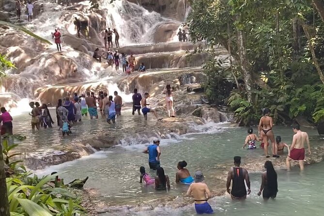 Private Dunns River Falls and Horse Back Riding - Saint Ann Parish Horseback Riding: Choosing Your Horse and Naming It