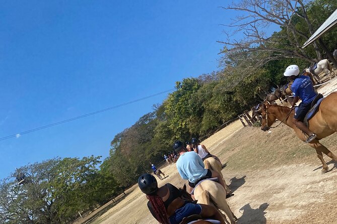 Private Dunns River Falls and Horse Back Riding - Getting There: Pickup, Mobile Ticket, and the 10:00 Start