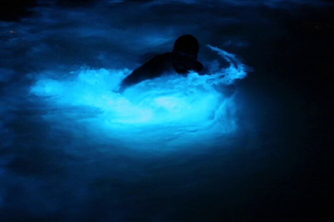 Private Guided Night Tour of Luminous Lagoon in Montego Bay - Key highlights you should know