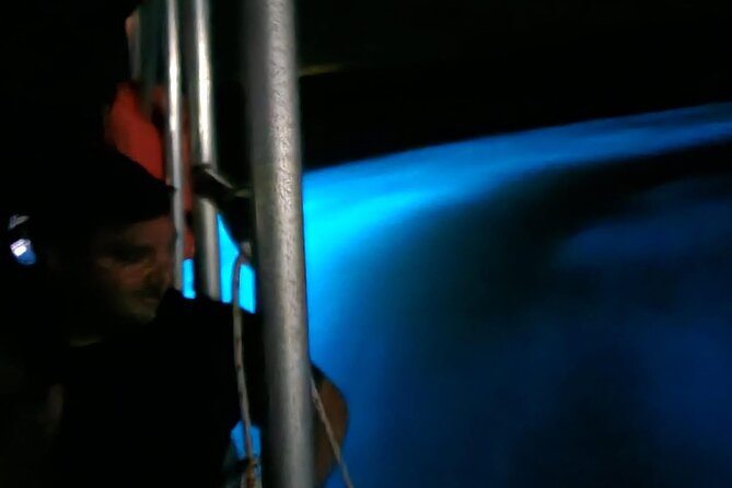 Private Guided Night Tour of Luminous Lagoon in Montego Bay - After the lagoon: a Jamaican beach party finish