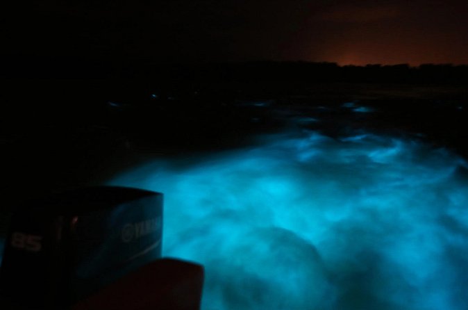 Private Guided Night Tour of Luminous Lagoon in Montego Bay - Who this tour suits best, and who might want a different option