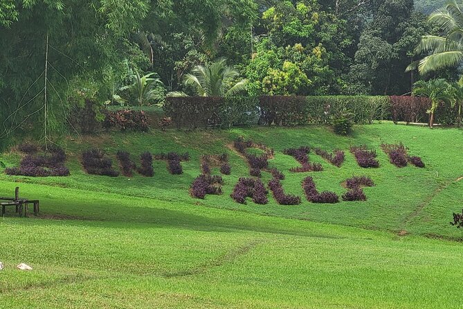 Private Half Day Tour at Benta Falls - Service style on the ground: what you can expect from the team