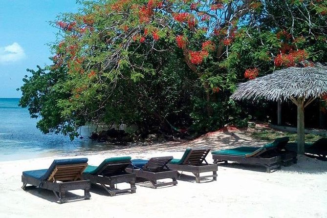 Private Half Moon Beach Tour from Montego Bay - Why This Half Day From Montego Bay Feels Like a Better Trade