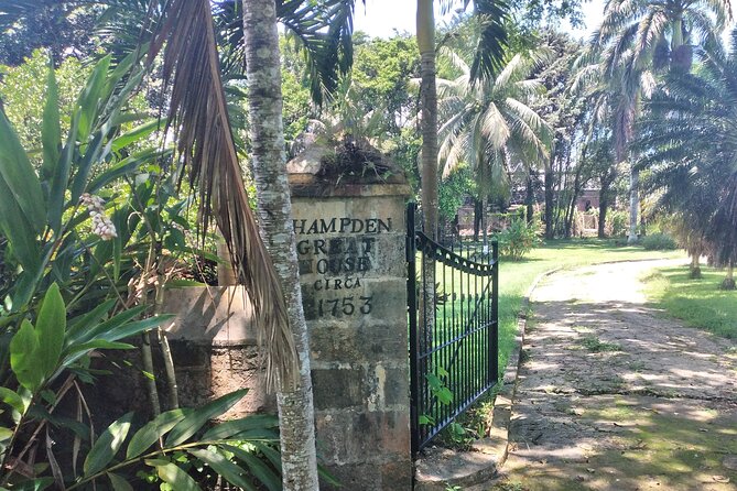 Private Hampden Estate Rum Tour from Montego Bay or Falmouth - Timing and transport, how to plan a smooth half-day