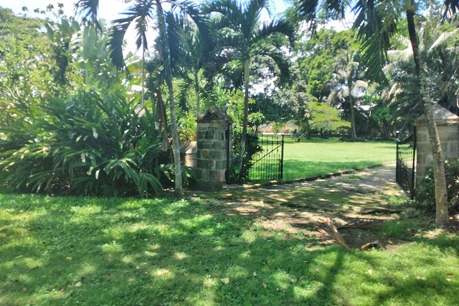 Private Hampden Estate Rum Tour from Montego Bay or Falmouth - Who should book this Hampden Estate rum tour