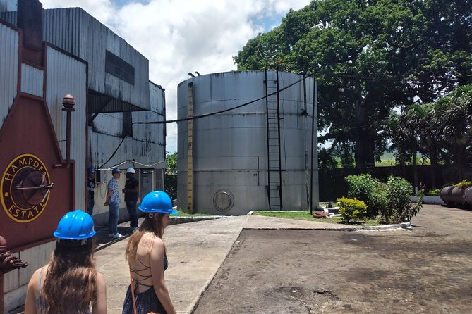 Private Hampden Estate Rum Tour from Montego Bay or Falmouth - The production story you’ll hear, and why it’s not just trivia