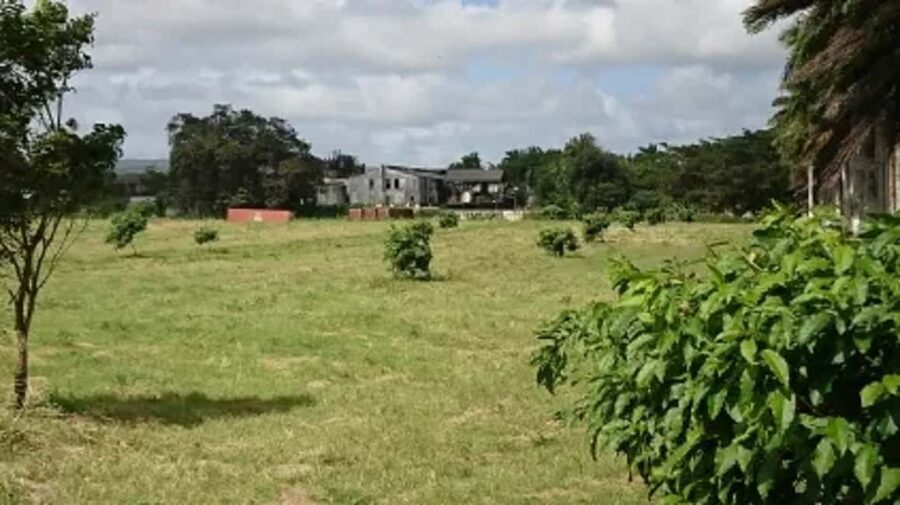 Private Hampden Estate Rum Trip from Montego Bay - Queen of Spain Valley and Hampden Estate: why this location feels different
