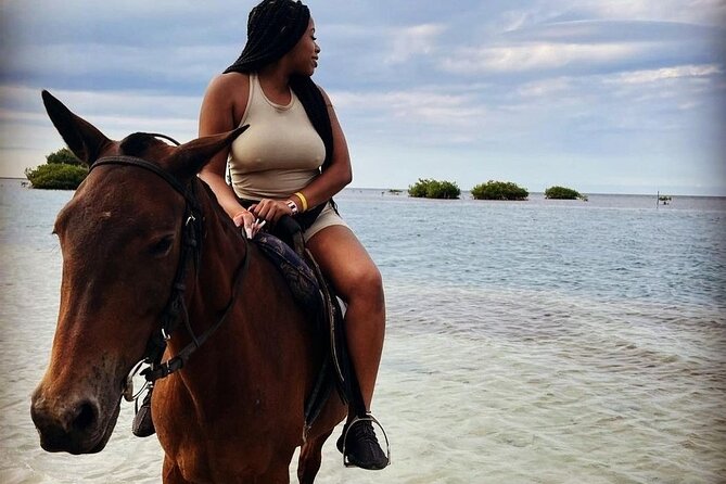 Private Horse Back Riding with ATV Combo. - Montego Bay Combo: Horses on the beach, ATV up the hills