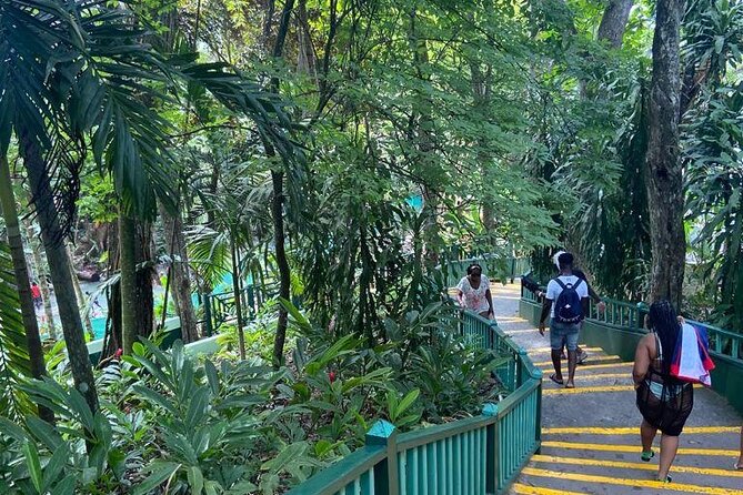 Private Horseback Riding, Swimming and Dunn's River Falls Tour - Montego Bay convenience: pickup, a tight route, and why 6 hours works