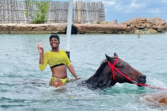 Private Horseback Riding, Swimming and Dunn's River Falls Tour - Price and value: what $240 per person buys you
