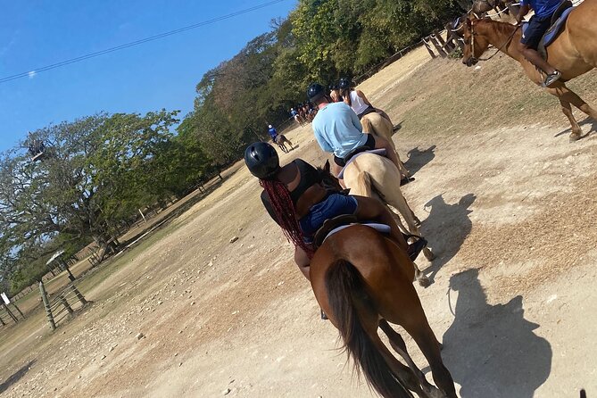 Private Horseback Riding with Blue Hole River Tour in Montego Bay - Private horseback riding plus Blue Hole river time, in plain terms