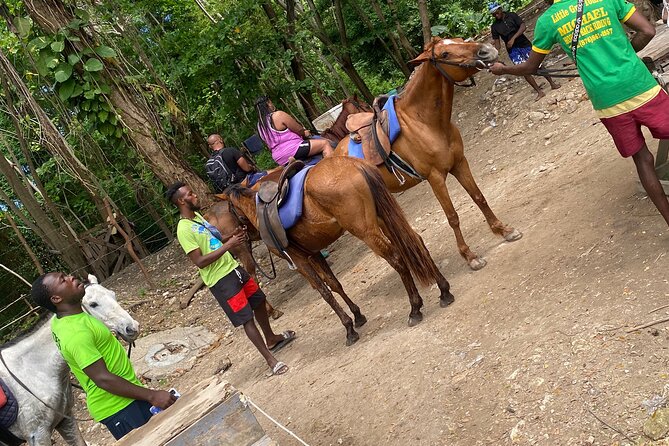 Private Horseback Riding with Blue Hole River Tour in Montego Bay - Discover Bay horseback riding: horses, beach time, and birds