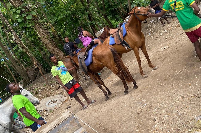 Private Horseback Riding with Blue Hole River Tour in Montego Bay - Blue Hole river time: safe jumping and climbing for photos
