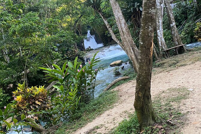 Private Horseback Riding with Blue Hole River Tour in Montego Bay - Pickup, air-conditioned transport, and what “private” changes
