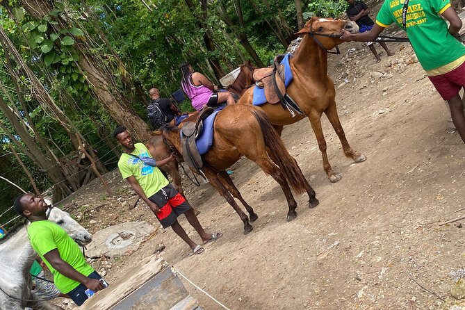 Private Horseback Riding with Blue Hole River Tour in Montego Bay - Who it suits best, and one thing to consider before you book