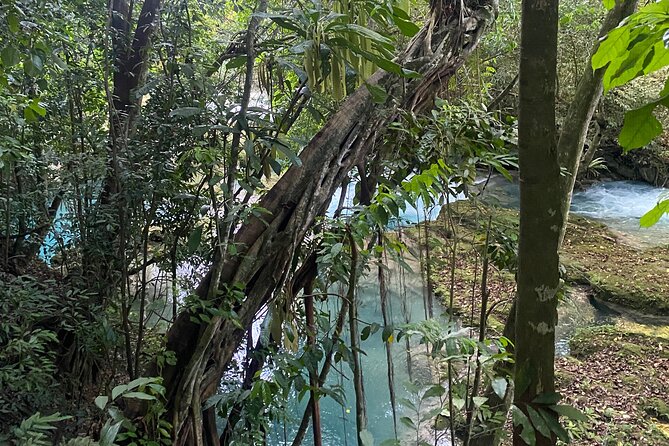 Private Horseback Riding with Blue Hole River Tour in Montego Bay - The real schedule: a half-day that includes about two hours of driving