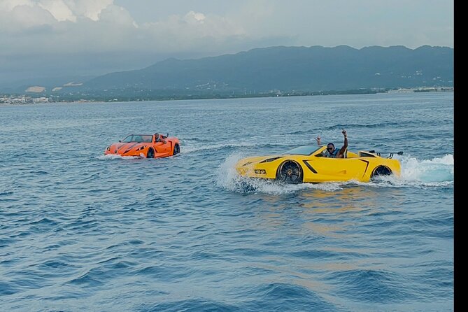 Private Jet Car or Jet Ski Experience in Montego Bay - The Real Deal on Reviews: What’s Consistently Praised, and What to Watch
