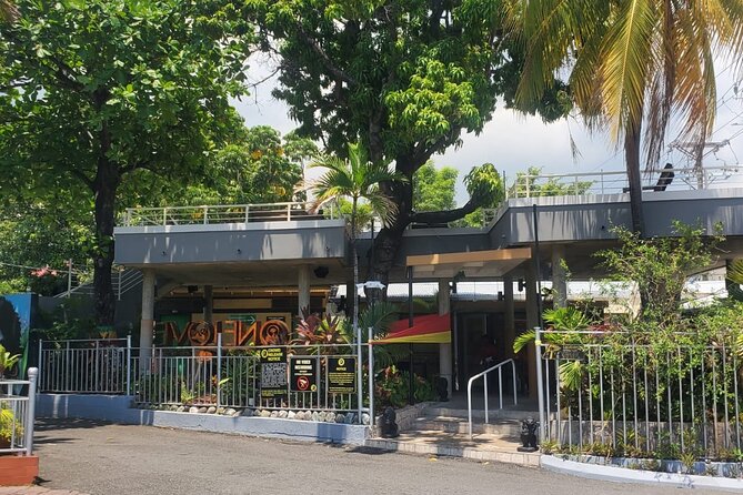 Private Kingston and Bob Marley Museum Tour from Falmouth - What You Really Get on This Private Kingston Half-Day