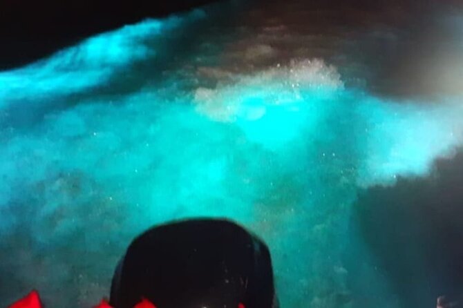 Private Luminous Blue Lagoon Night Tour in Falmouth - Night bioluminescence from Montego Bay, with Rose Hall built in