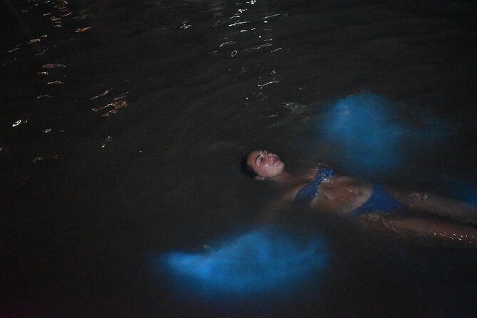 Private Luminous Lagoon Tour from Montego Bay - After the Water: Restaurant and Entertainment Time