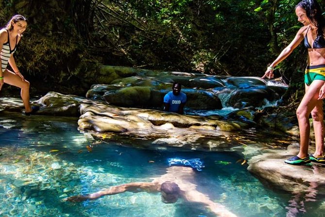 Private Mayfield Falls Waterfalls Tour [ Transportation ] - Why a private Mayfield Falls transfer makes sense from Montego Bay