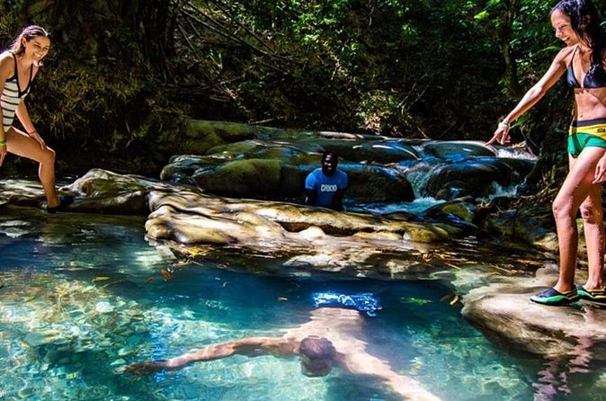 Private Mayfield Falls Waterfalls Tour [ Transportation ] - Swimming in mineral pools: what you can do with your time