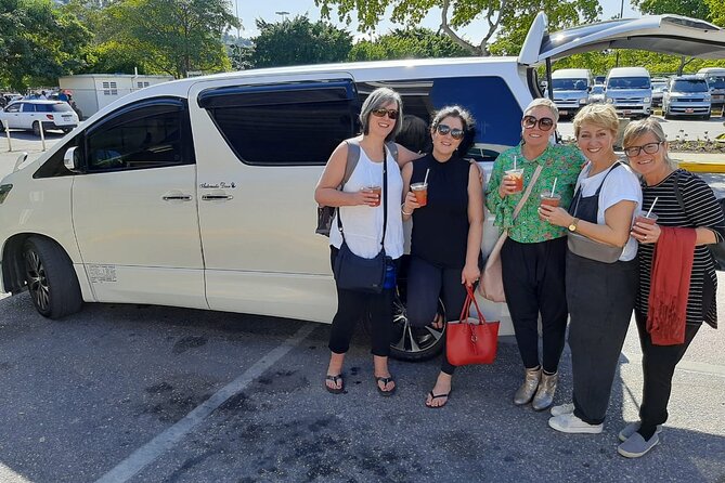 Private Montego Bay Airport Taxi to Jewel Grande - How the vehicle works for 1 to 15 people (and bigger groups too)