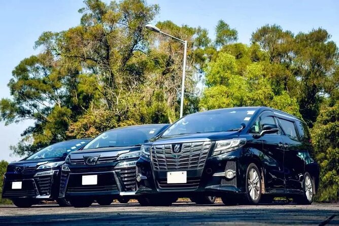 Private Montego Bay Airport Transfer (Select Hotel Option) - Key Things To Know Before You Go
