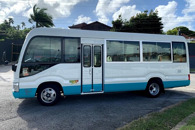 Private Montego Bay Airport Transfer to Ocho Rios Hotels - The ride comfort check: air-conditioning, private transport, and baggage reality